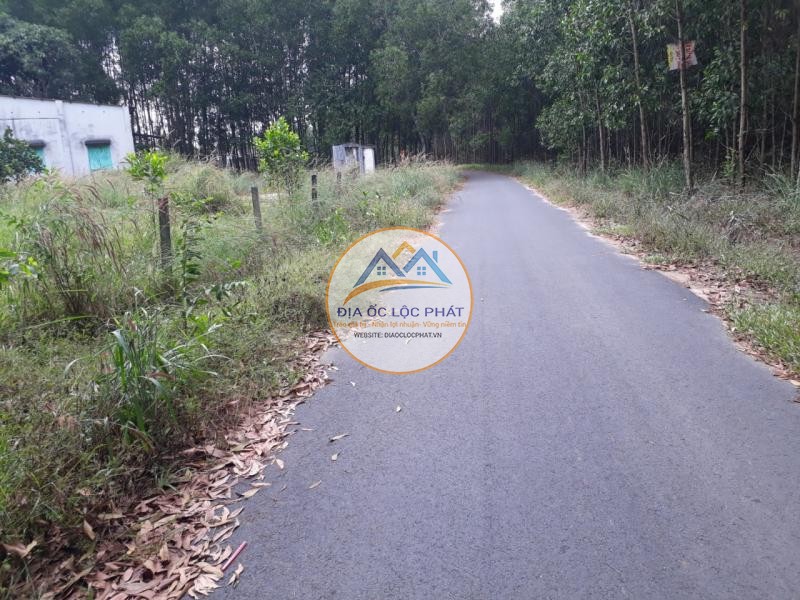 5000m2 XÃ LONG AN GIÁP RANH SÂN BAY LONG THÀNH